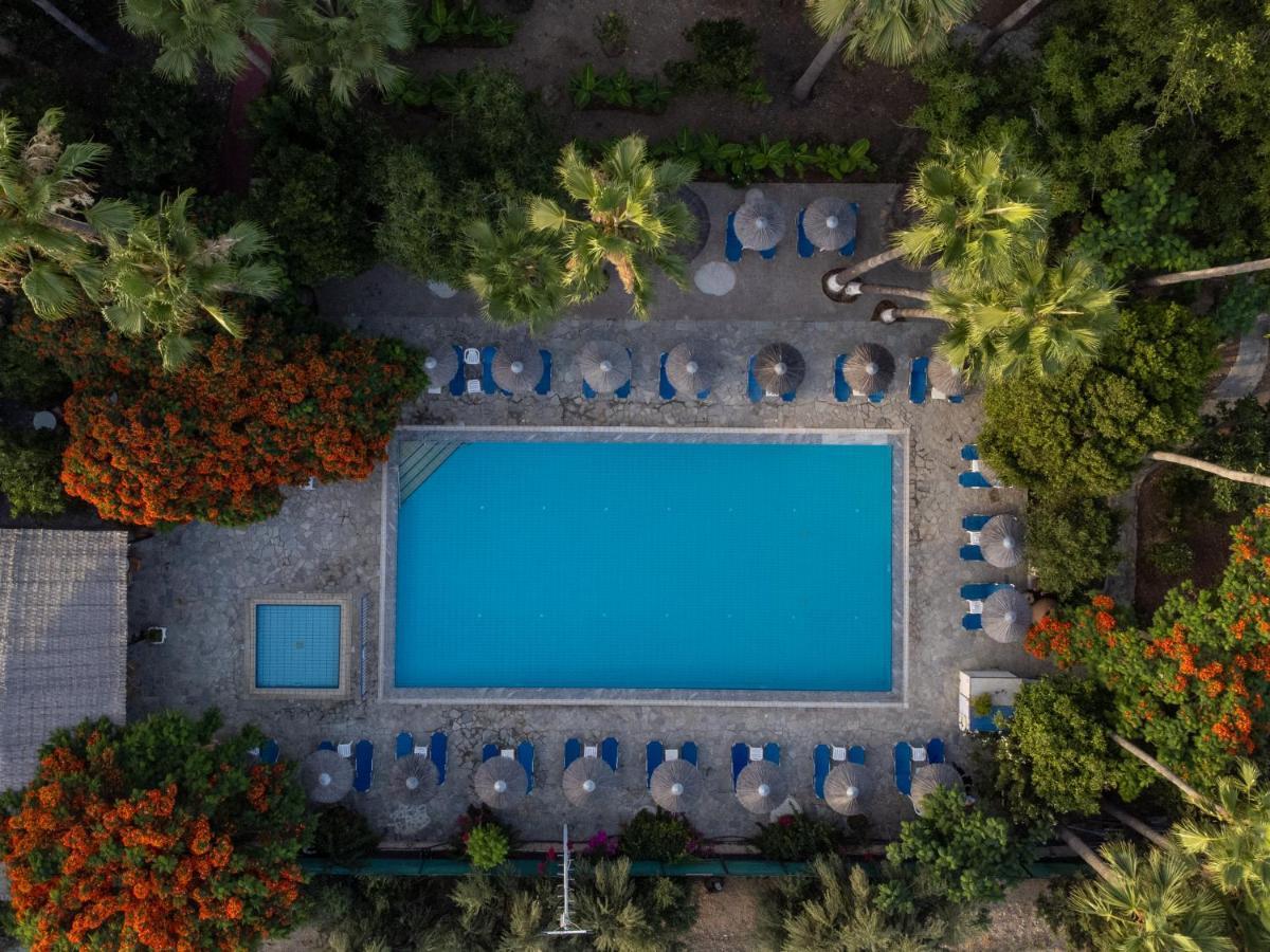 Veronica Hotel Paphos Exterior photo