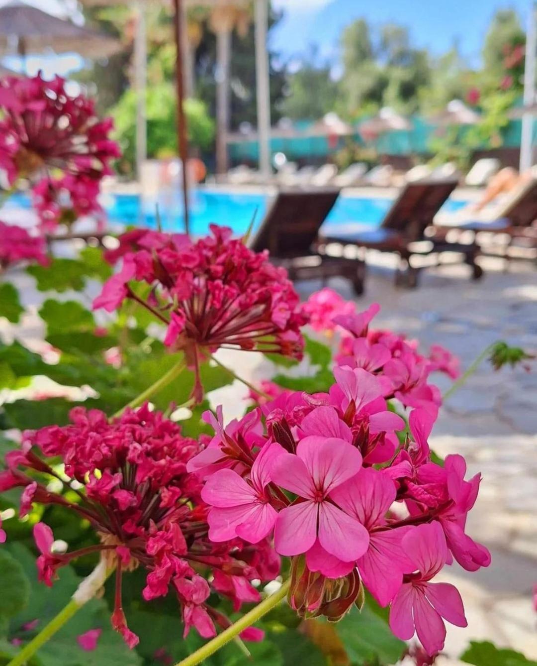 Veronica Hotel Paphos Exterior photo